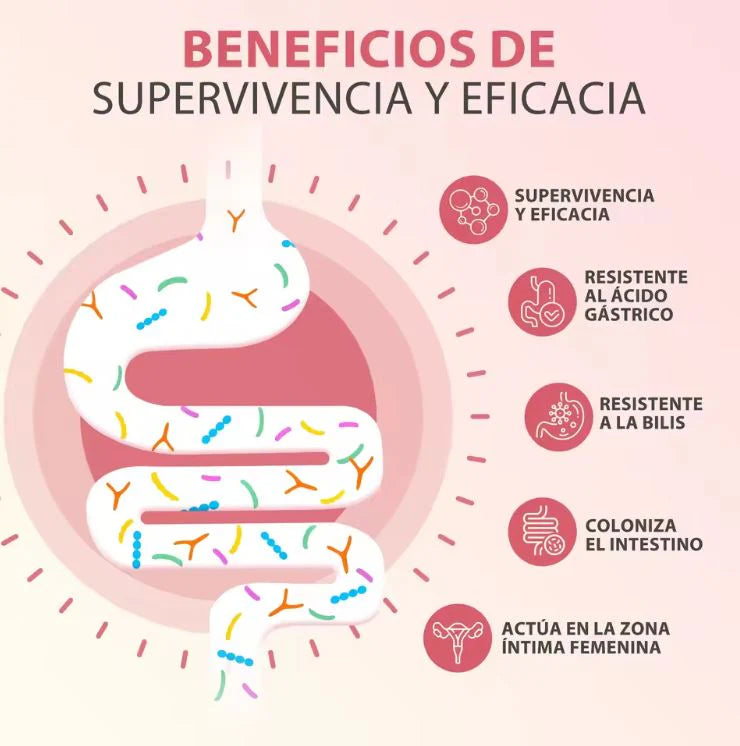 Windboss ProBio™:Equilibrio íntimo + digestivo en una sola cápsula - Con 100 Millones UFC + 32 Cargas probióticas (90 cápsulas)