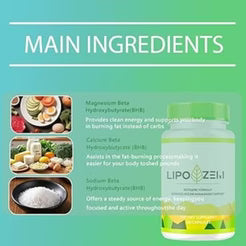 LipoZem Suplemento de Magnesio/Calcio/Sodio | Apoyo Digestivo + Energía Mental | Pérdida de Peso | Vegano, Sin Gluten/Sin Aditivo (120 cápsulas)